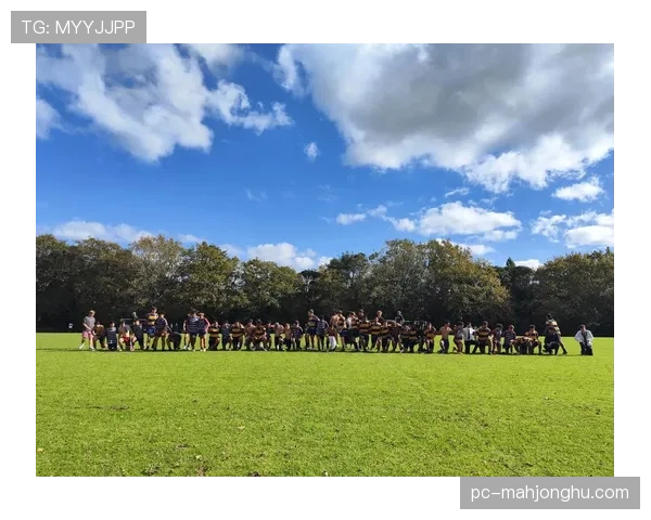 新西兰橄榄球协会就历史性脑震荡案件与一批前球员达成和解协议